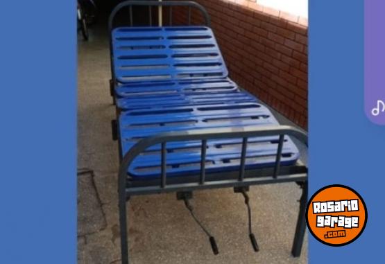 Hogar - Cama   ortop�dicas - En Venta