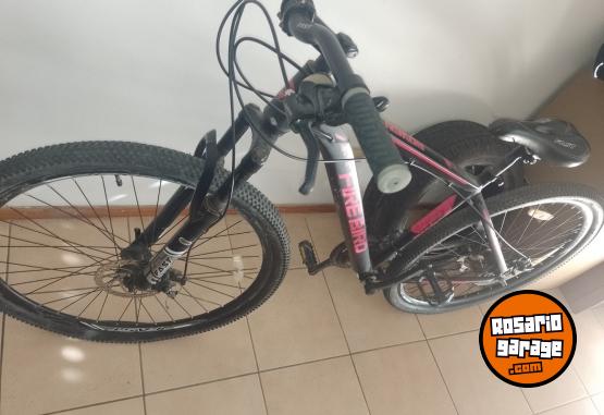 Deportes - Bicicleta FIRE BIRD - En Venta