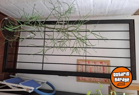 Hogar - Puerta reja - En Venta