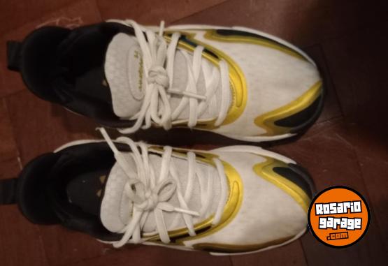 Deportes - Zapatillas basquet - En Venta