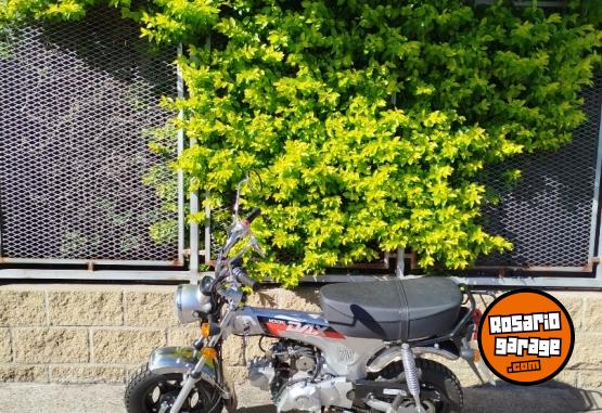 Motos - Mondial DAX 70CC 2026 Nafta 722Km - En Venta