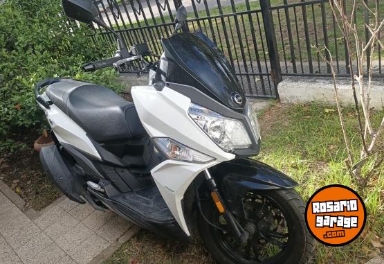 Motos - SYM Jet 14 2025 Nafta 10000Km - En Venta