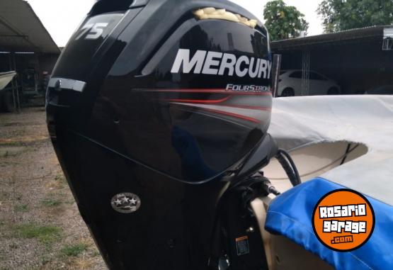 Embarcaciones - Dorado 5.50 - En Venta