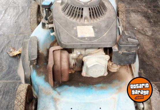 Herramientas - Bordeadora Shizen Mu52cc Hyundai 200 cc motor 4 tiempos - En Venta