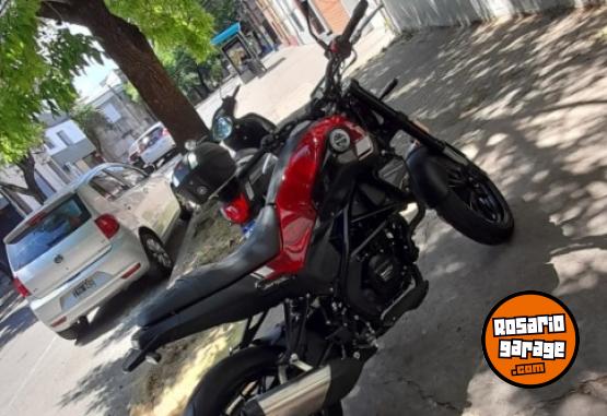 Motos - Benelli Leoncino 250 2024 Nafta 1200Km - En Venta
