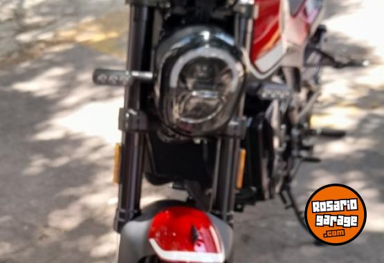 Motos - Benelli Leoncino 250 2024 Nafta 1200Km - En Venta