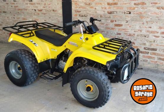 Cuatris y UTVs - Guerrero Mapuche 250cc 2011  111111Km - En Venta
