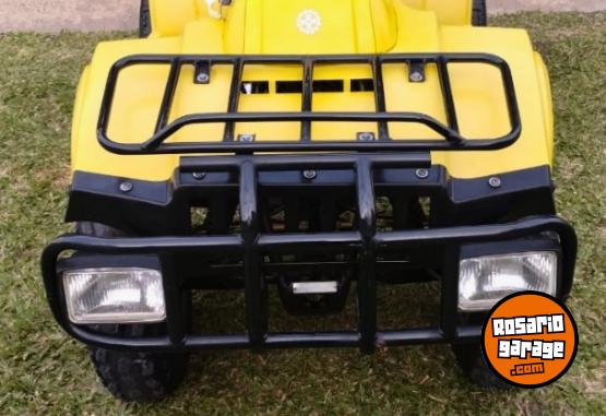 Cuatris y UTVs - Guerrero Mapuche 250cc 2011  111111Km - En Venta