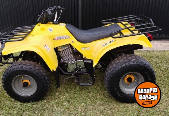 Cuatris y UTVs - Guerrero Mapuche 250cc 2011  111111Km - En Venta