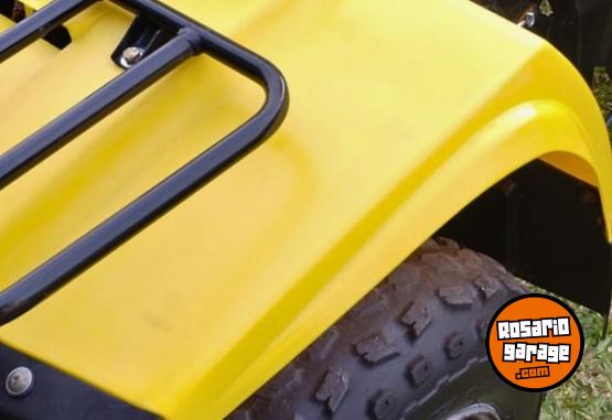 Cuatris y UTVs - Guerrero Mapuche 250cc 2011  111111Km - En Venta