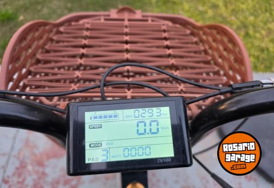 Otros - Bicicleta el�ctrica familiar (capacidad 2 ni�os) - En Venta