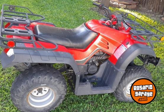 Cuatris y UTVs - Zanella 250 2013 7000Km - En Venta