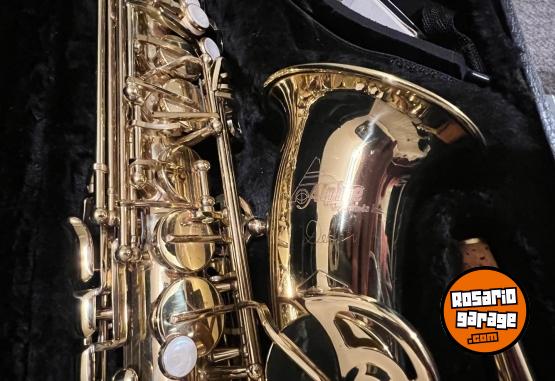 Instrumentos Musicales - Vendo Saxofón Alto Alpine Deluxe Americano como Nuevo - En Venta