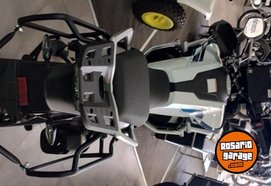 Motos - CF Mt800 2026 Nafta 0Km - En Venta