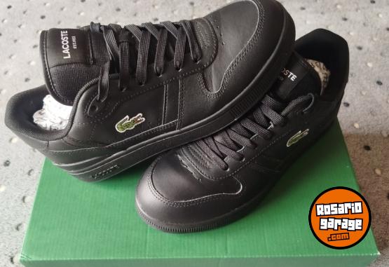Indumentaria - Zapatillas Lacoste cuero black - En Venta