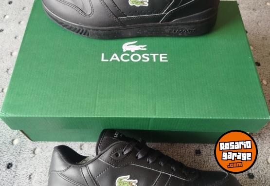 Indumentaria - Zapatillas Lacoste cuero black - En Venta