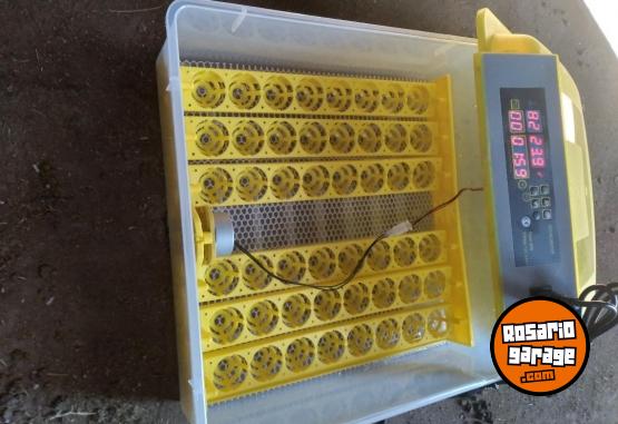 Otros - Incubadora de 48 huevos 95 % de nacimientos - En Venta