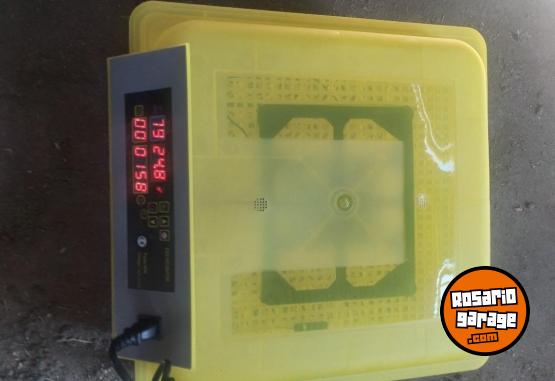 Otros - Incubadora de 48 huevos 95 % de nacimientos - En Venta