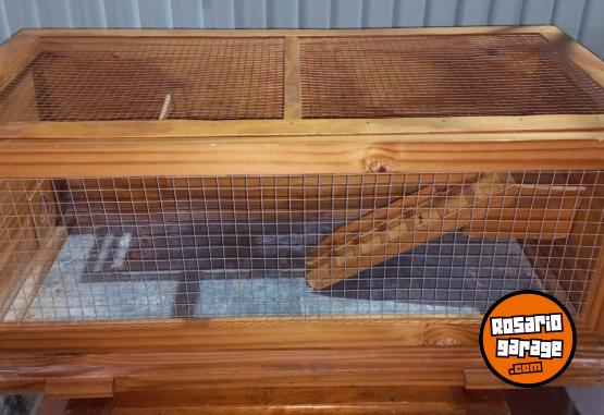 Otros - Jaula/Terrario para erizos/hamster/cobayos u otros - En Venta