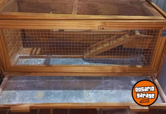 Otros - Jaula/Terrario para erizos/hamster/cobayos u otros - En Venta