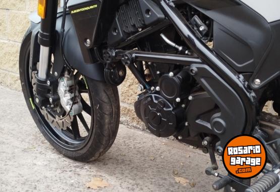 Motos - Benelli LEONCINO 250 2021 Nafta 8201Km - En Venta