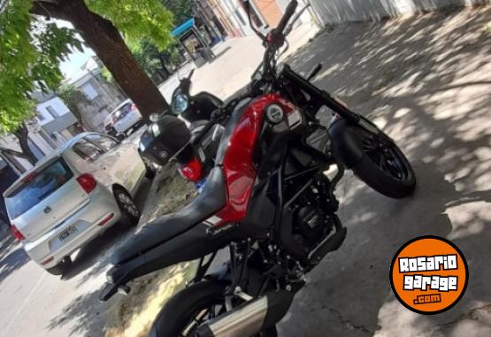 Motos - Benelli Leoncino 250 2024 Nafta 1400Km - En Venta