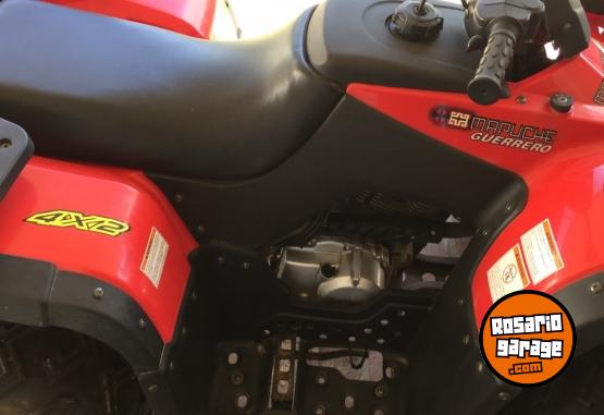Cuatris y UTVs - Guerrero Mapuche 2014 1200Km - En Venta