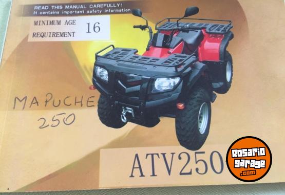 Cuatris y UTVs - Guerrero Mapuche 2014 1200Km - En Venta