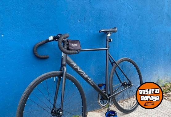 Deportes - BICICLETA FIXIE GEAR LION KING - En Venta