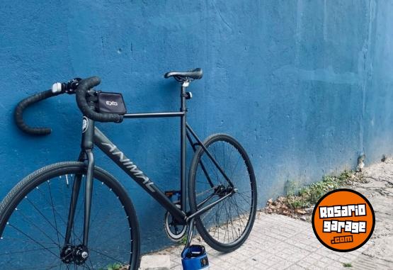 Deportes - BICICLETA FIXIE GEAR LION KING - En Venta