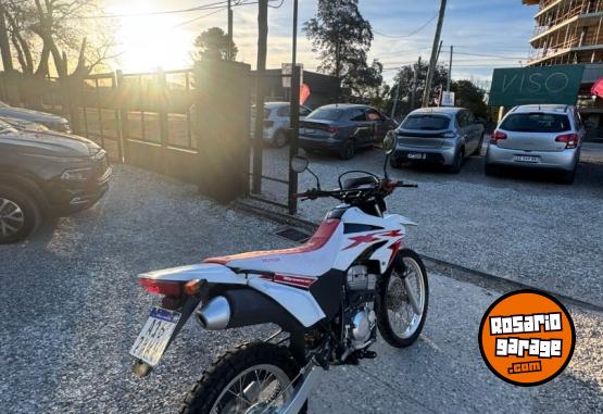 Motos - Honda TORNADO XR250 2022 Nafta - En Venta