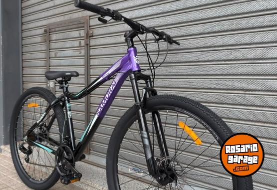 Deportes - BICICLETA SAMURAI GOZEN R29 - HASTA 6 CUOTAS SIN INTERES!! - En Venta