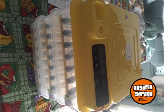 Otros - Incubadora 95 % de nacimientos - En Venta