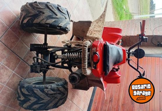 Cuatris y UTVs - Otra marca 110 2010 11111Km - En Venta