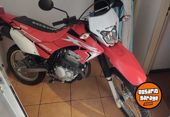 Motos - Honda Tornado 250 2023 Nafta 2400Km - En Venta
