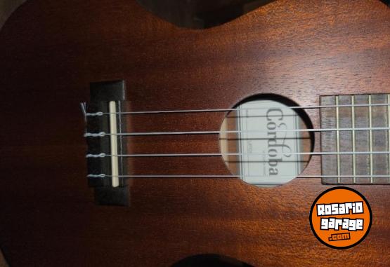 Instrumentos Musicales - Lote Instrumental Musical Guitarra Electrica Acustica Ukelele - En Venta