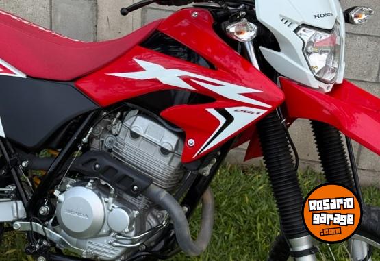 Motos - Honda Xr250 tornado 2024 Nafta 8400Km - En Venta