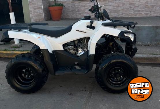 Cuatris y UTVs - Zanella G-Force 2022 4600Km - En Venta