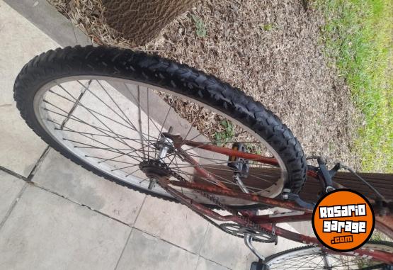 Deportes - BICI PLAYERA - En Venta