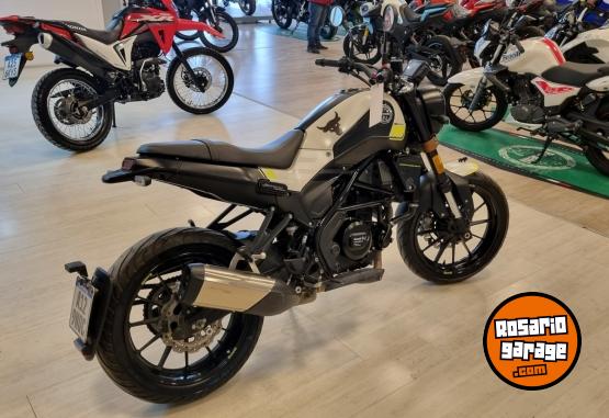Motos - Benelli LEONCINO 25O 2021 Nafta 14928Km - En Venta