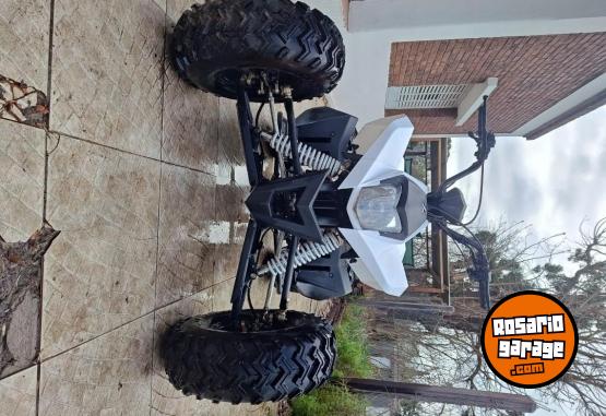 Cuatris y UTVs - Zanella Fx 250 2025 600Km - En Venta