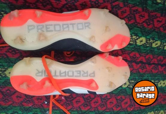 Indumentaria - Adidas Predator - En Venta