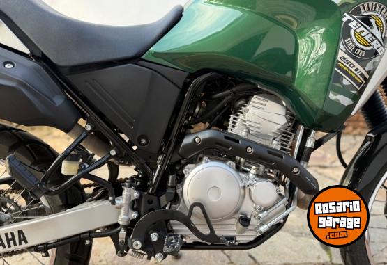 Motos - Yamaha Tenere Adventure 250 2019 Nafta 25500Km - En Venta