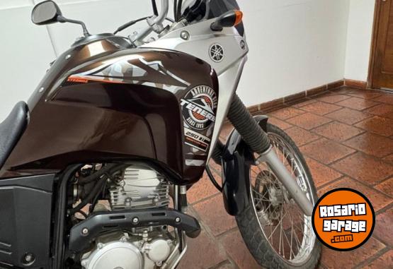 Motos - Yamaha tenere 250 2018 Nafta 12200Km - En Venta