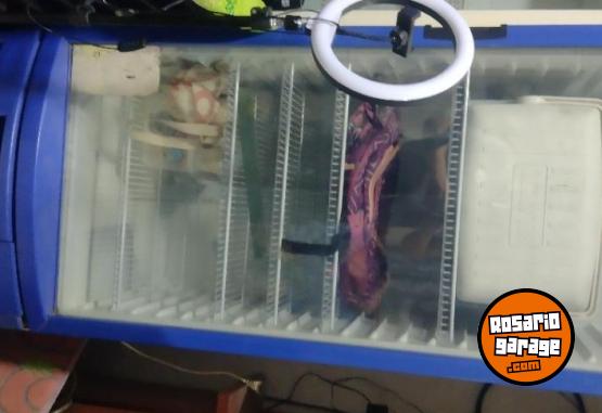 Hogar - Exhibidora Inelro - En Venta