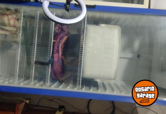 Hogar - Exhibidora Inelro - En Venta