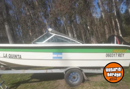 Embarcaciones - Lancha Pacú 450 dos tiempos - En Venta