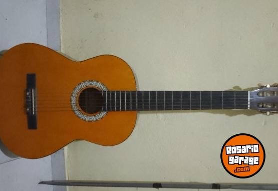 Instrumentos Musicales - Guitarra acústica Foglia acg20 - En Venta