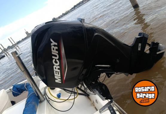 Embarcaciones - Quicksilver 490 Motor Mercury 60 Hp Efi 4t CON 30 HS - En Venta