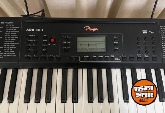 Instrumentos Musicales - Organo Parquer ARK163 - sin uso - En Venta